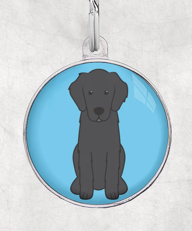 Flat Coated Retriever
